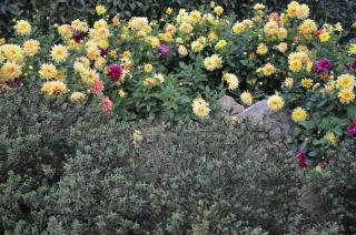 La Grange de la Gandonnerie - 7