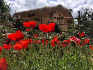 Le Capanne di Villa Margherita - Sonnino - 5