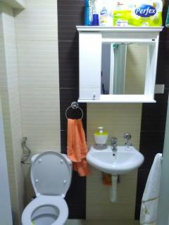 Apartman Jevtić 1 - Gornja Toplica - 6