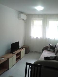 Apartman Jevtić 1 - Gornja Toplica - 5