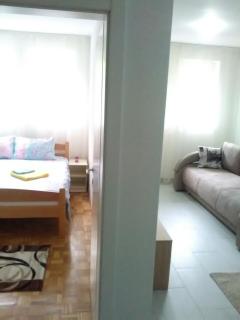 Apartman Jevtić 1 - Gornja Toplica - 3