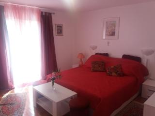 Apartments Palm House - Rovinj - 8