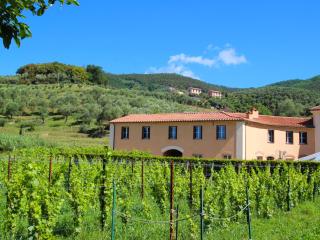 Apartment Rosetta by Interhome - Sestri Levante - 8