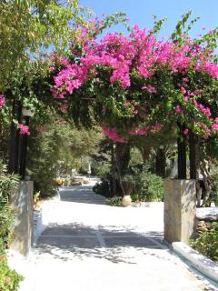 Eden Ios Rooms - Mylopotas - 4