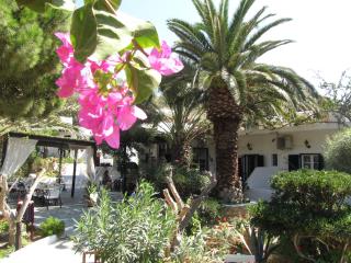 Eden Ios Rooms - Mylopotas - 3