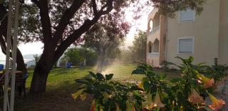 OniRana Apartments - Borsh - 9