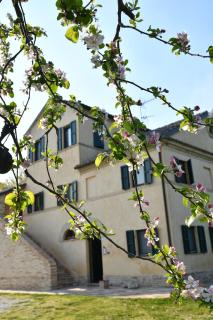 I Ciliegi - Osimo - 2