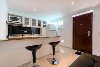 LOFT APARTMENT IN CENTRAL LOCATION (301) - 6