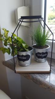 Apartment Greenhouse - Opatija - 2