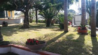 CALLIMACO'S HOME Comfort e Deluxe - Capaccio-Paestum - 6