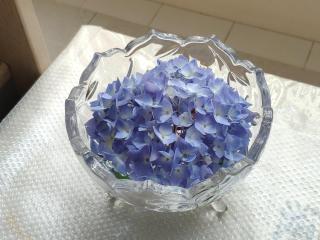 Helen's House / Close to Skytrain and Airport - 5