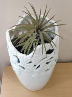 Helen's House / Close to Skytrain and Airport - 6