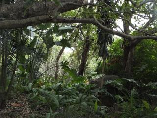 Tatenda Guest House - 1