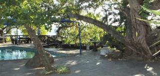 Tatenda Guest House - Hazyview - 5