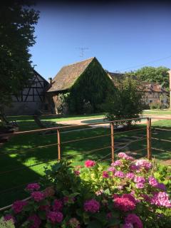 Auberge Saint Laurent - Sierentz - 8