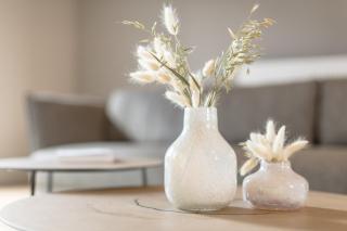 Logement Den Beer - Meerhout - 7
