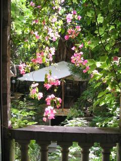 Le Windsor, Jungle Art Hotel - Nizza - 3