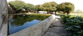 Quinta das Lavandeiras - Caldas de Vizela - Vizela - 1