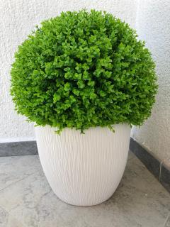 apartmani Mandic - 6