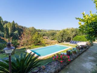 Pou bo - Campanet - 7