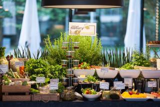 Q Hotel Plus Kraków - 5