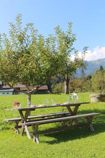 Ferienwohnung Vogt - Mellau - 2