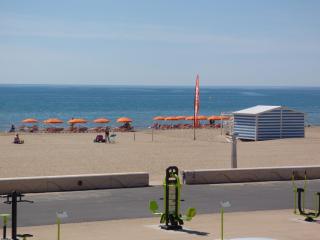 Appartement T3, Front de Mer, 4 couchages, Narbonne Plage - Narbonne-Plage - 1