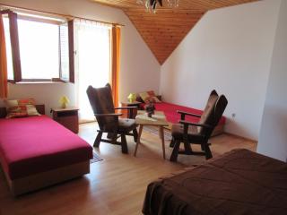 2+2 fős apartman Badacsonytomaj központjában - Badacsonytomaj - 2