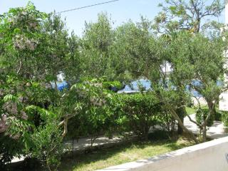 Apartments by the sea Supetarska Draga - Donja, Rab - 11769 - Rab - 6