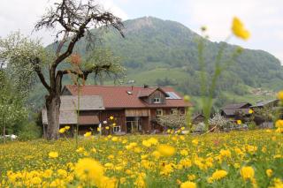 Ferienwohnung Vogt - Mellau - 8