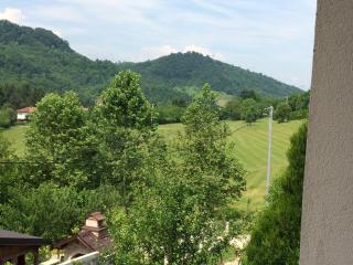 Charming Luxury Villa - Sarajevo - 8