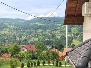 Charming Luxury Villa - Sarajevo - 9