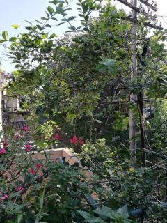 Kandy Inn Madugalle’s family guest house - Kandy - 2