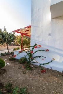 Magic Tinos Holiday House - Tinos - 5