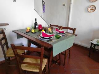 CANACCI UNDICI - Firenze - 4