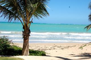 Isla Verde by the Beach - 9