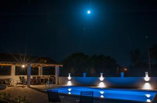 Central Dalmatian Pool&Grill House - Gustirna - 7