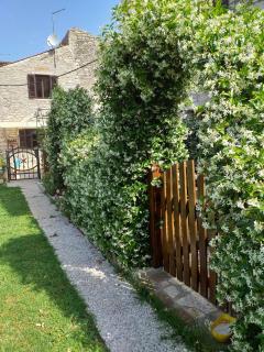 Rade Stancijeta Apartments - Novigrad (Cittanova d'Istria) - 6