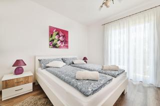 Apartment Ana - Brtonigla - 6