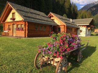 Alpine Chalet - Santa Caterina Valfurva - 1