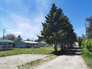 Stanhope Cottages - Stanhope - 1
