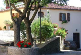 Fattoria Casanova - Palaia - 6