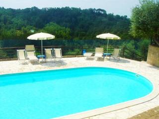 Fattoria Casanova - Palaia - 0