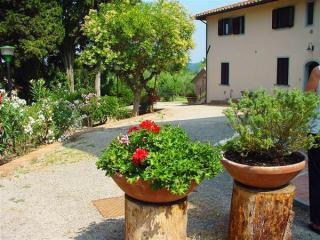 Fattoria Casanova - Palaia - 8