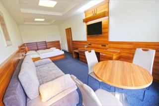 Lipno Wellness - Frymburk C 301 - Frymburk - 5