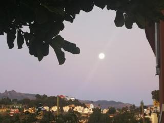 Sweet Dreams - Santa Brígida - 9