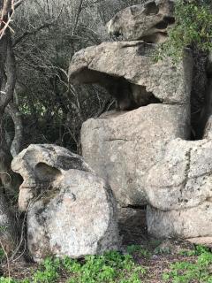 Li Casacci - Arzachena - 2