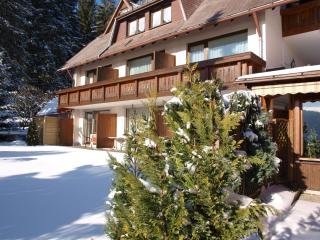 Hotel Restaurant Peterle - Feldberg - 4