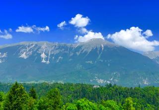 Apartma AS - Bled - 3