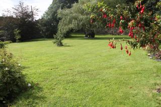 Marguerite's B&B - Skibbereen - 6
